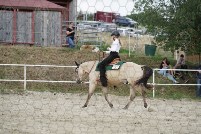 s_K3F07168.JPG